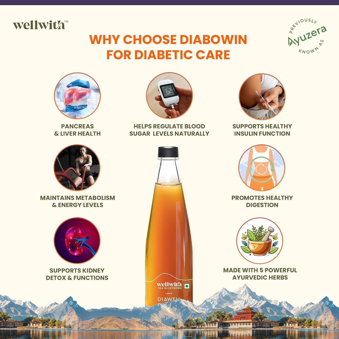 Wellwith (Ayuzera) Diawell (Diabowin) Karela & Jamun Diabetic Care Juice with Seabuckthorn 300ml | Chirata and Punarnava | Ayurvedic | Makes Upto 50 Glass Juice (300ml, Pack of 1)