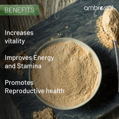 Ambrosial Maca Root Capsules for Men & Women | High Strength 500 mg Maca Root Powder EACH Capsule | Supports Building Stamina & Energy (Pack of 1-60 Capsules)
