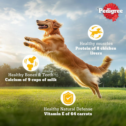 Pedigree Adult Dry Dog Food, Chicken & Vegetables, 1.2 kg, Contains 37 Essential Nutrients, 100% Complete & Balanced Food for Adult Dogs