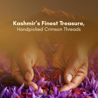Rasayanam Pure Original Kashmiri Saffron/Kesar/Kumkuma Puvvu (1gm) | Certified highest Grade-A Keshar | Saffron for pregnant women, Pooja rituals & Food aroma