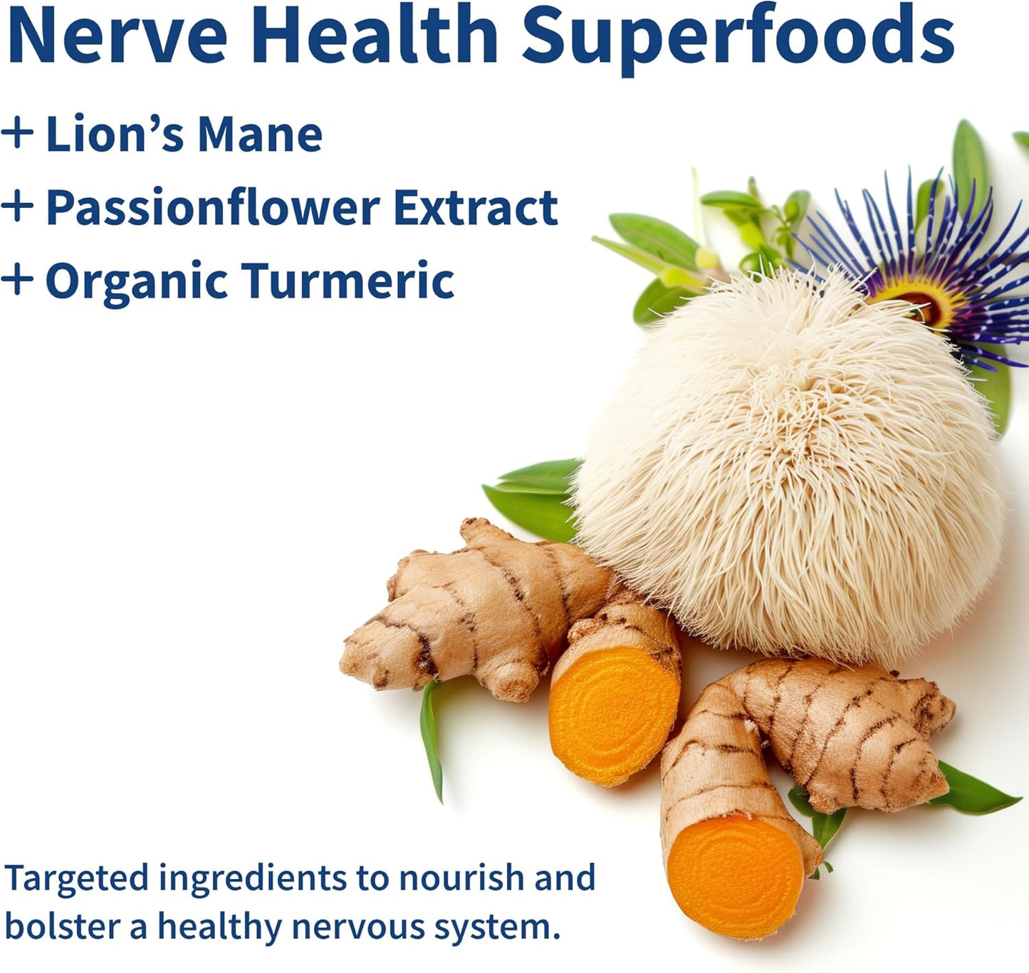 Snap Supplements Nerve Health Support with Lion's Mane, Organic Turmeric & Herbs â€“ Neuropathy Supplement for Mental Clarity, Focus & Healthy Nerve Function* â€“ 60 Capsules
