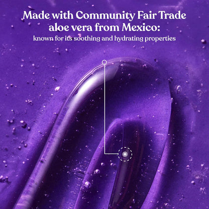 The Body Shop Dewberry Bath & Shower Gel (1x 250ml) Refreshing Body Wash with Fruity and Floral Scent, Gentle Cleanser with Community Fair Trade Aloe Vera, Vegan Certified, 250ml