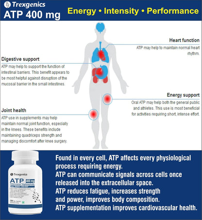 Trexgenics ATP Adenosine Triphosphate 400 mg Energy, Metabolism, Endurance, Cellular Health VEGAN & NON-GMO (30 Vcaps) (Pack of 1)