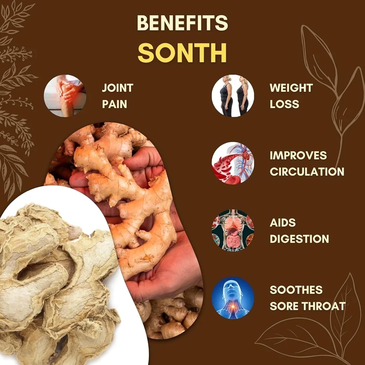 Namo Organics - Ginger Dried Root Powder - 300g | Zingiber officinale | NON-GMO | No Added Preservatives | Sukku Podi | Dry Sonth/Adrak Powder for Cooking and Health