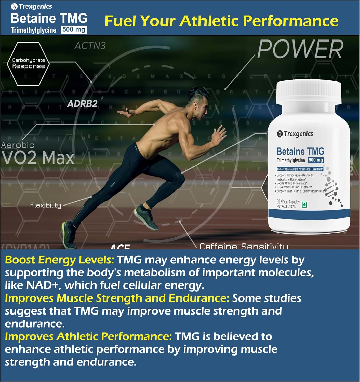 Trexgenics BETAINE - TMG (Trimethyglycine) 500 MG Homocysteine Balance, Liver Care, Athletic Performance Support (60 Veg Capsules) (Pack of 1)