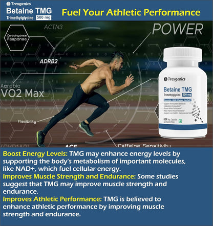 Trexgenics BETAINE - TMG (Trimethyglycine) 500 MG Homocysteine Balance, Liver Care, Athletic Performance Support (60 Veg Capsules) (Pack of 1)