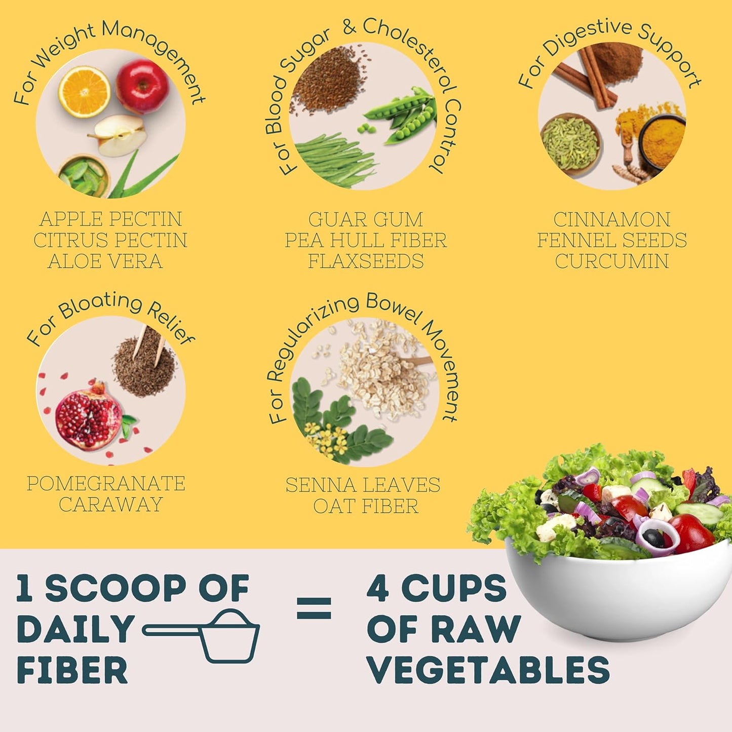 Wellbeing Nutrition Daily Fiber Powder | Weight Management, Manages Sugar Control, Bloating, Constipation & Acidity Relief | Organic Prebiotic Digestive Fiber Supplement | 30 Servings