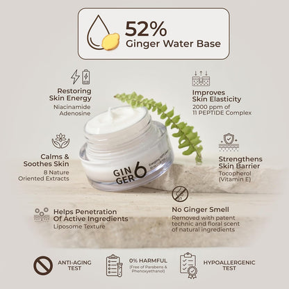 GINGER6 Energizing Pepti Cream 50g | Night Cream | 52% Ginger Extract | Peptide Complex Anti-Aging | Niacinamide Brightening | Adenosine Wrinkle Care | Firming Korean Moisturizer