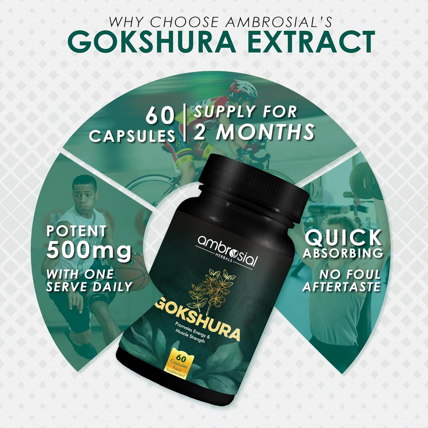 Ambrosial Gokshura Tablets | Tribulus Terrestris High Strength Gokshura 500 mg EACH Capsule | Supports Immunity & Healthy Urinary Tract (Pack of 1-60 Capsules)