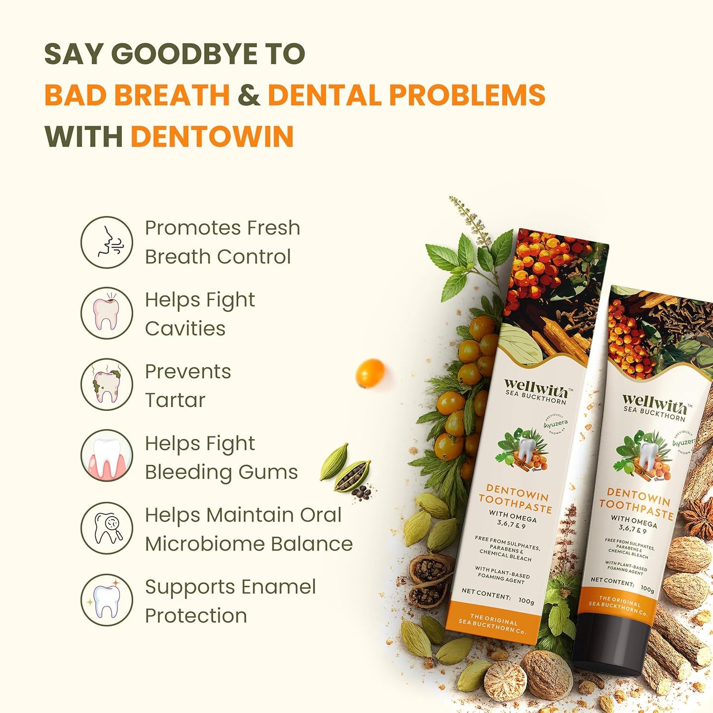 Wellwith by Ayuzera DentoWin Ayurvedic Herbal Gum Care Toothpaste with Himalayan Sea Buckthorn Berry, Tulsi & Neem, Teeth Whitening - Natural Formula, No Fluoride(100gm, Pack of 1)
