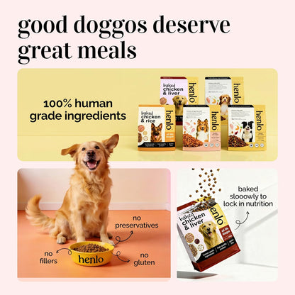 Henlo Baked Dry Dog Food for Adult Dogs | 800G | 100% Human-Grade Ingredients | High-Protein Nutritionally Balanced Healthy Dog Food | Chicken Flavor | No Fillers or Additives
