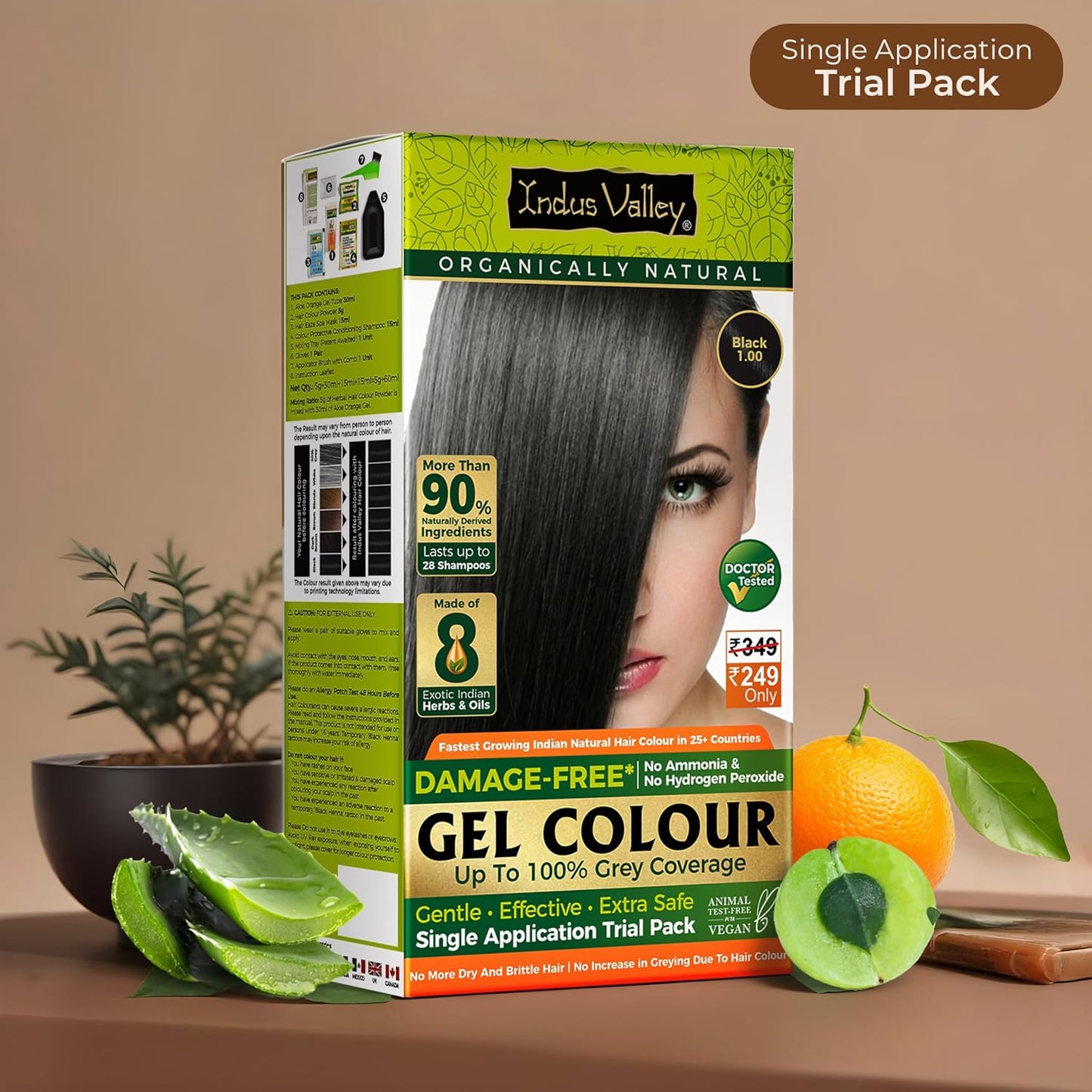 INDUS VALLEY Damage Free Natural Gel Hair Colour for Women | Ammonia & PPD Free Organic Hair Colour with 100% Grey Coverage, Long Lasting Hair Color Trial Pack (Black, 65 ml)