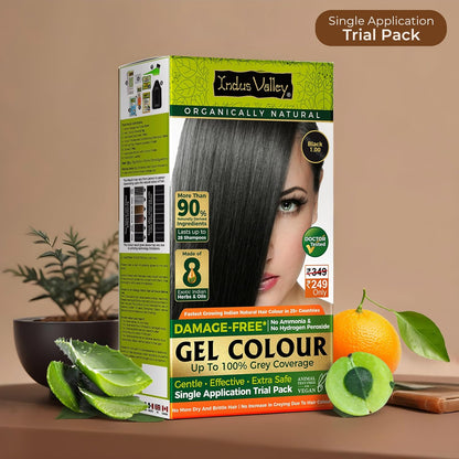 INDUS VALLEY Damage Free Natural Gel Hair Colour for Women | Ammonia & PPD Free Organic Hair Colour with 100% Grey Coverage, Long Lasting Hair Color Trial Pack (Black, 65 ml)