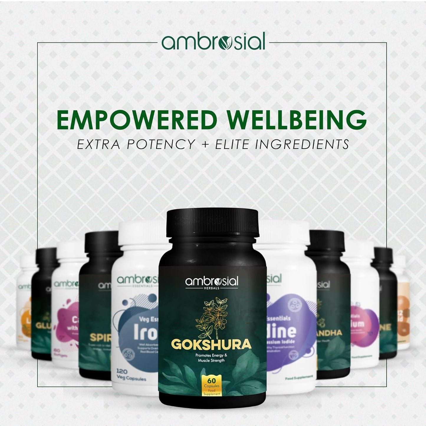 Ambrosial Gokshura Tablets | Tribulus Terrestris High Strength Gokshura 500 mg EACH Capsule | Supports Immunity & Healthy Urinary Tract (Pack of 1-60 Capsules)