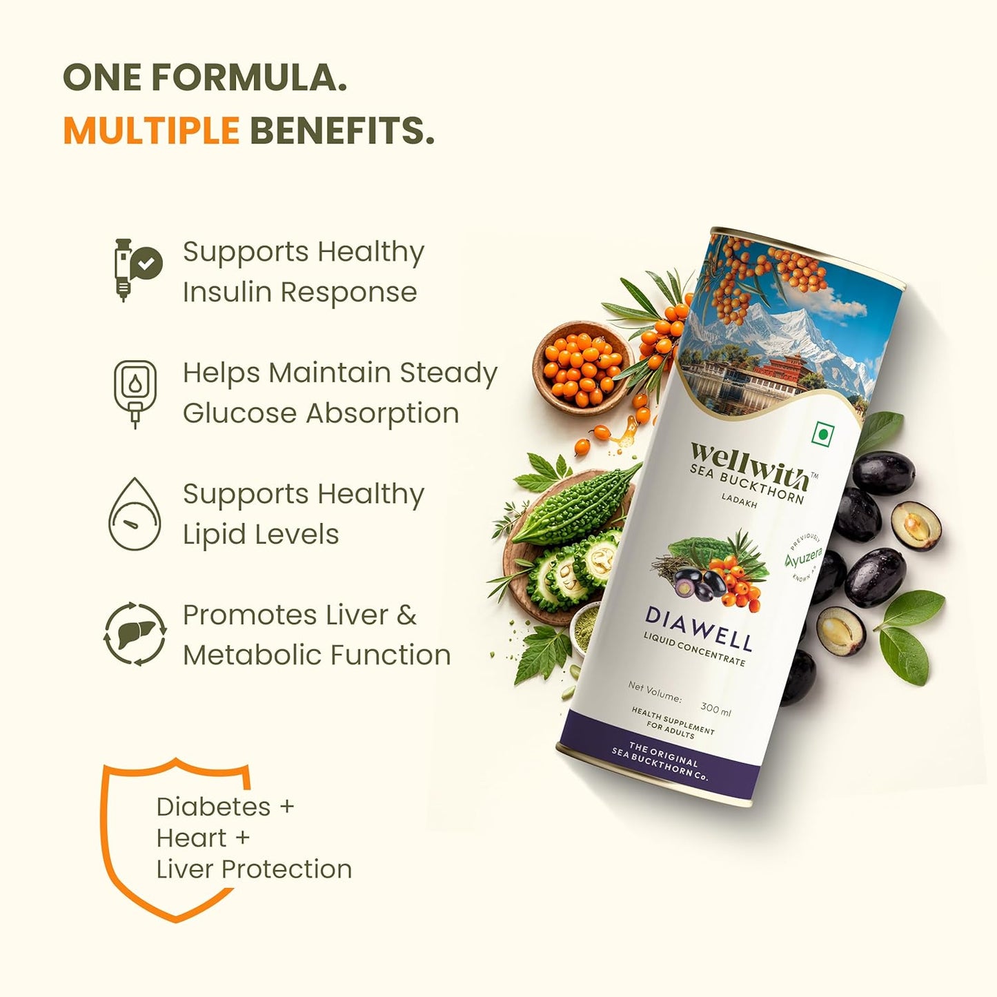 Wellwith (Ayuzera) Diawell (Diabowin) Karela & Jamun Diabetic Care Juice with Seabuckthorn 300ml | Chirata and Punarnava | Ayurvedic | Makes Upto 50 Glass Juice (300ml, Pack of 1)