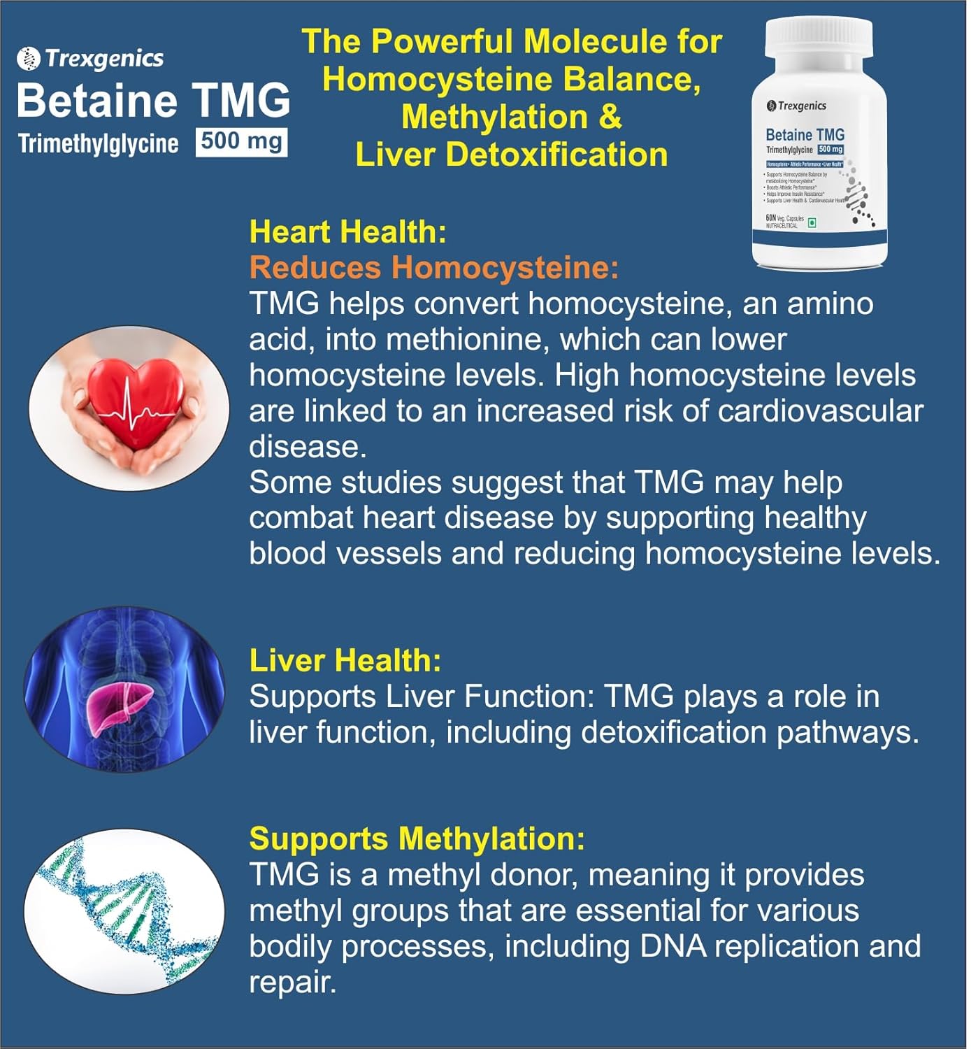 Trexgenics BETAINE - TMG (Trimethyglycine) 500 MG Homocysteine Balance, Liver Care, Athletic Performance Support (60 Veg Capsules) (Pack of 1)