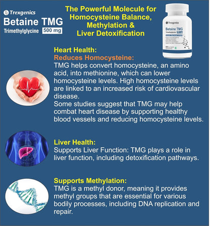 Trexgenics BETAINE - TMG (Trimethyglycine) 500 MG Homocysteine Balance, Liver Care, Athletic Performance Support (60 Veg Capsules) (Pack of 1)