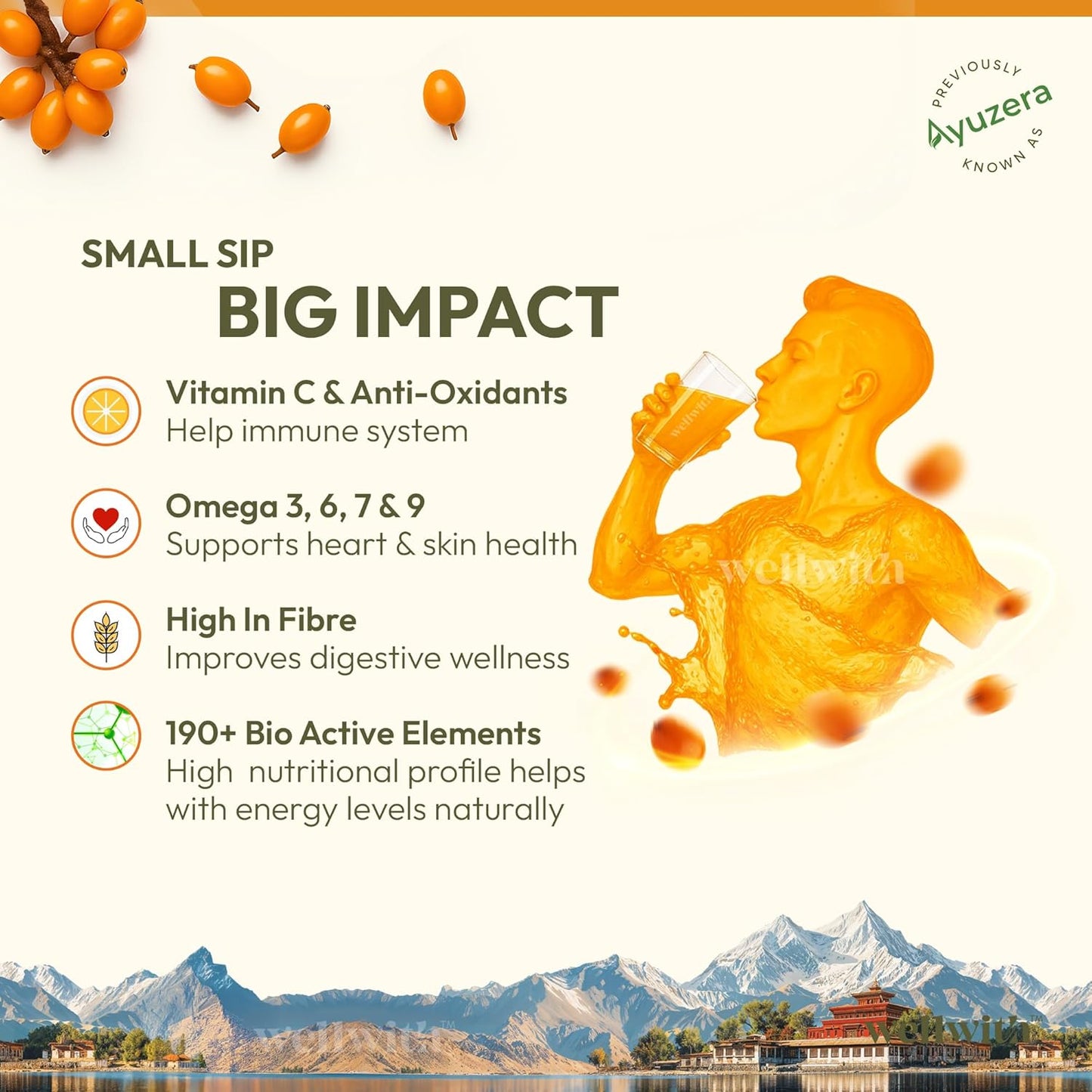 Wellwith by Ayuzera Himalayan Seabuckthorn Pulp Juice 300ml | Cold Pressed Daily Wellness Drink | Natural Vitamin C, Omegas & Antioxidants | For Immunity, Skin Radiance & Gut Wellness