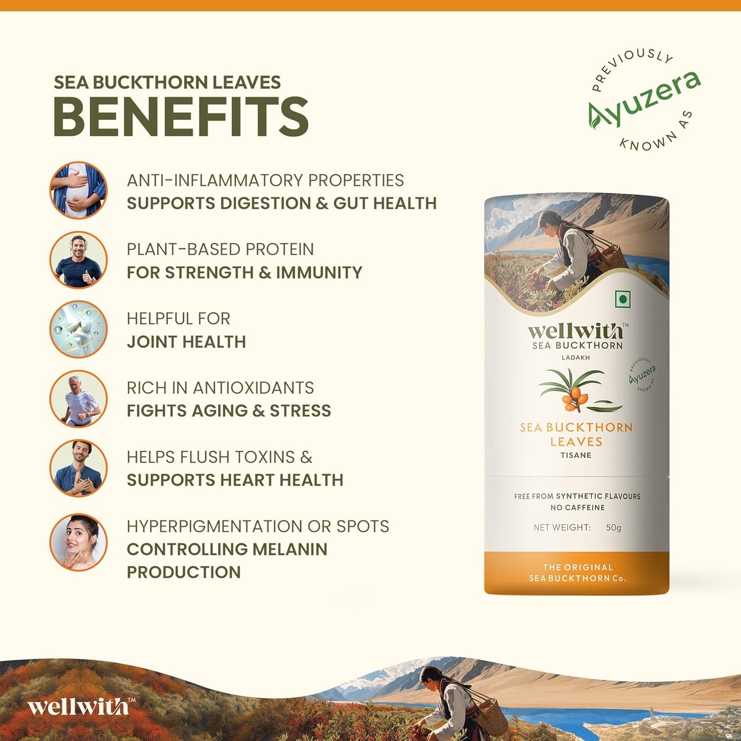 Wellwith by Ayuzera Sea Buckthorn Raw Leaves Tea, Good For Skin and Immunity, For a Healthy Lifestyle - Himalayan Herbal Tea - Pure & Natural (100g)