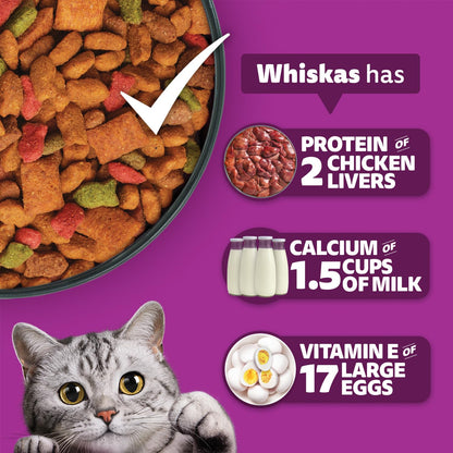 Whiskas Adult (1+ Years) Dry Cat Food, Ocean Fish Flavour, 480 g, Contains 41 Essential Nutrients, Complete & Balanced Nutrition for Adult Cats
