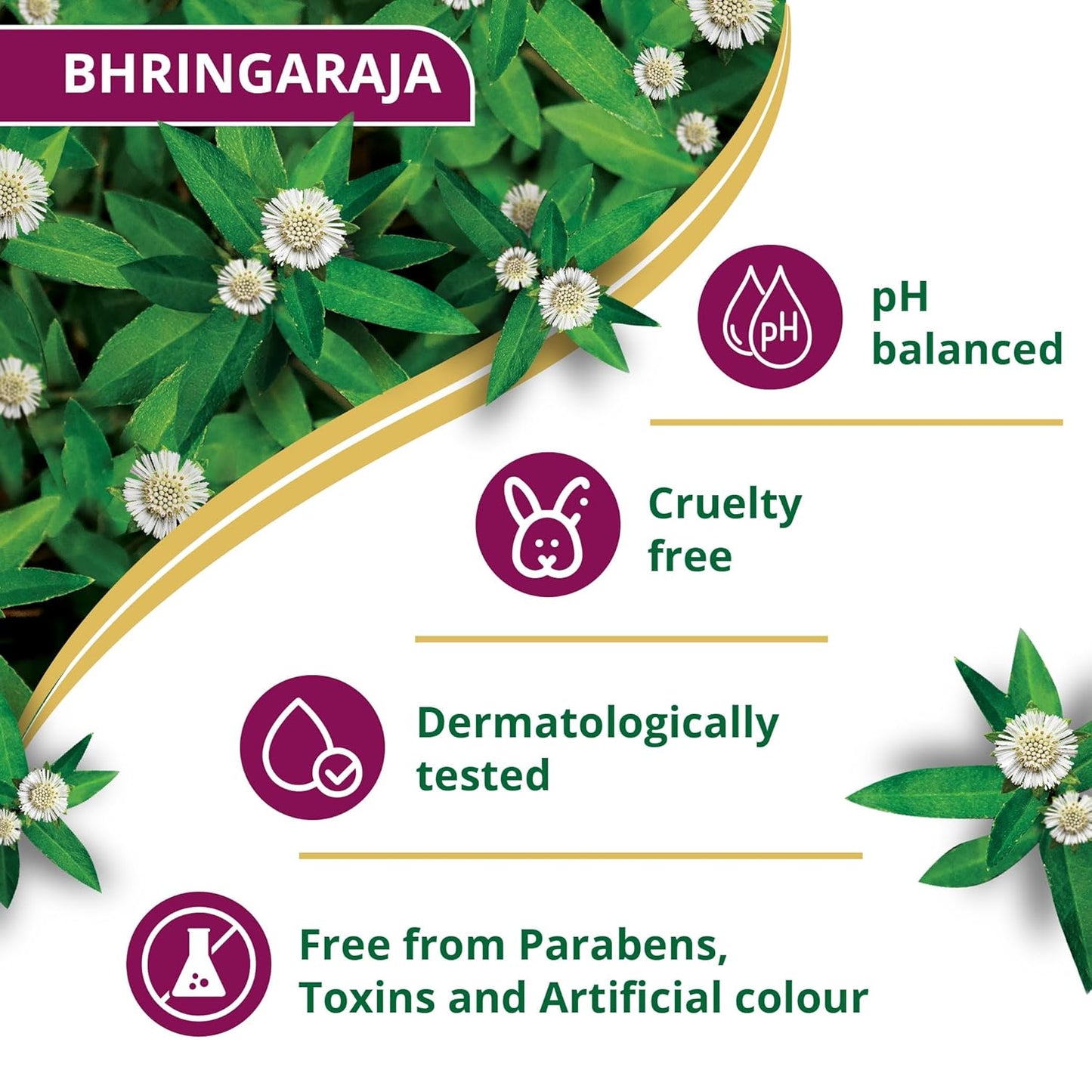 Himalaya Anti-Hair Fall Bhringaraja Shampoo, Reduces Hair Fall, Makes Hair Healthy, With Bhringaraja & Palasha,for men and women, 650ml