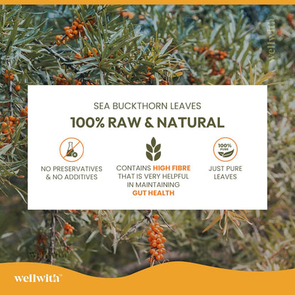 Wellwith by Ayuzera Sea Buckthorn Raw Leaves Tea, Good For Skin and Immunity, For a Healthy Lifestyle - Himalayan Seabuckthorn Herbal Leaf Tea - Pure & Natural (50g)