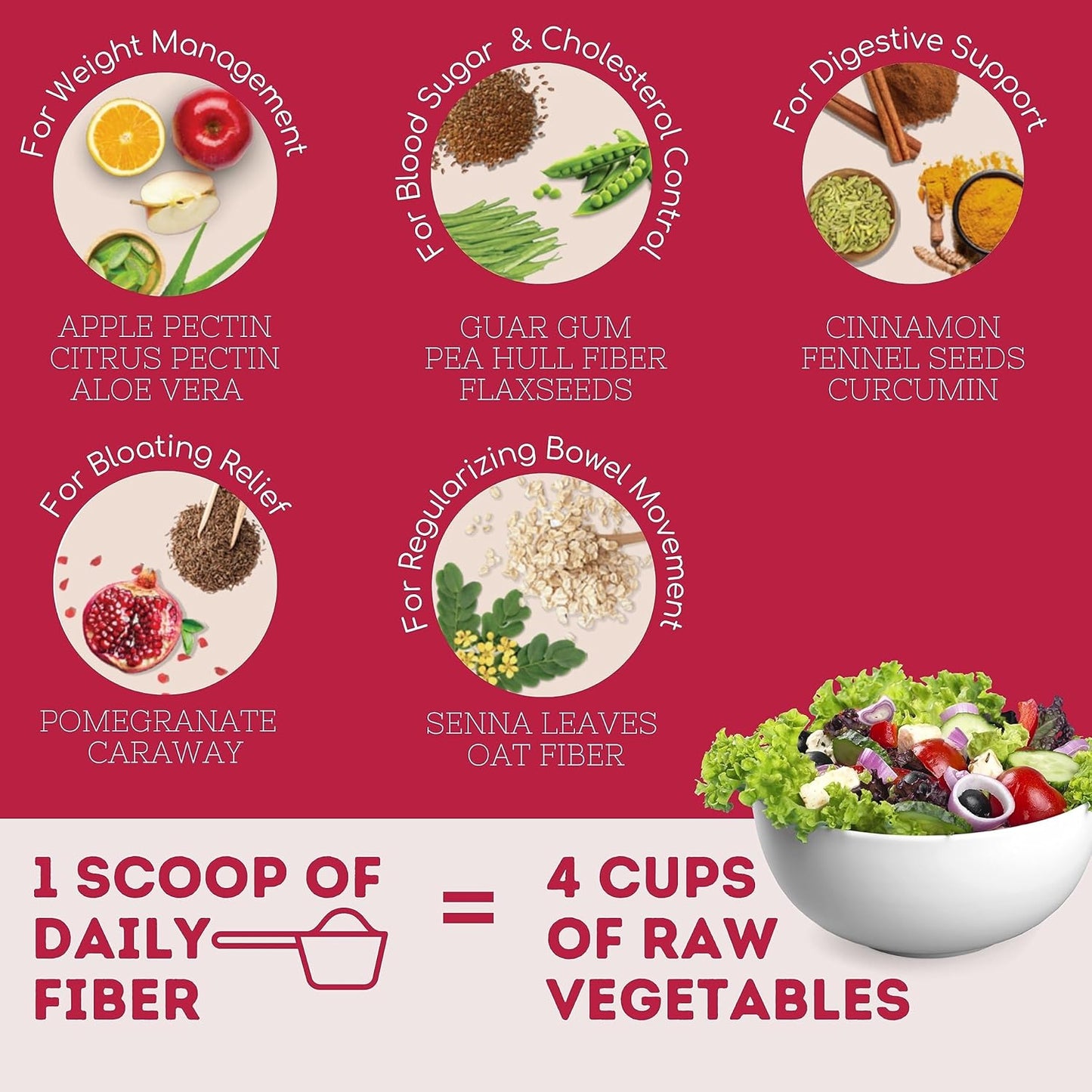 Wellbeing Nutrition Daily Fiber Powder | Weight Management, Manages Sugar Control, Bloating, Constipation & Acidity Relief | Organic Prebiotic Digestive Fiber Supplement | 30 Servings