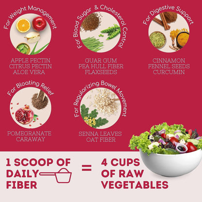 Wellbeing Nutrition Daily Fiber Powder | Weight Management, Manages Sugar Control, Bloating, Constipation & Acidity Relief | Organic Prebiotic Digestive Fiber Supplement | 30 Servings