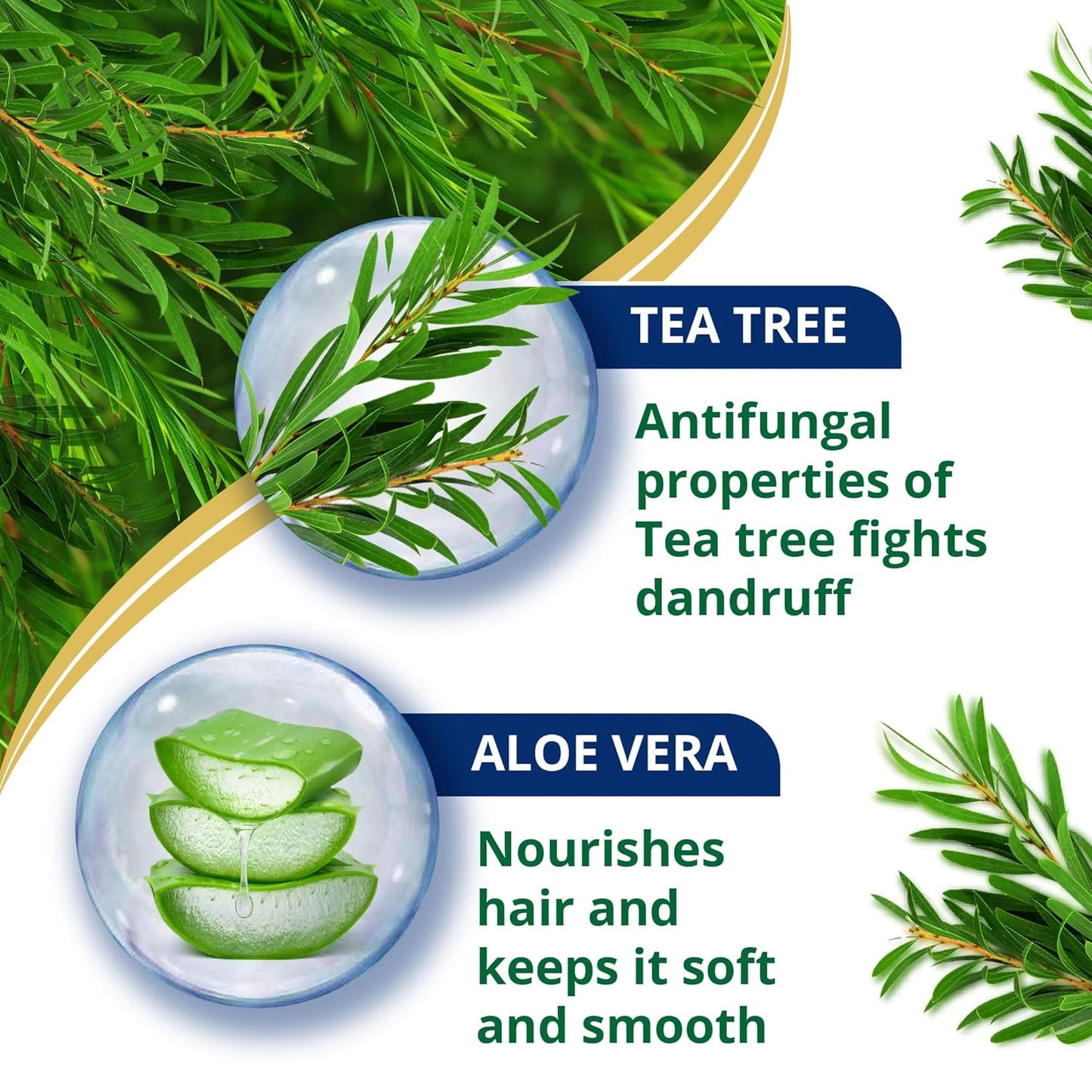 Himalaya Anti-Dandruff Tea Tree Shampoo, Removes up to 100% Dandruff, Soothes Scalp & Nourishes Hair, with Tea Tree oil and Aloe Vera, for men and women, 180ml