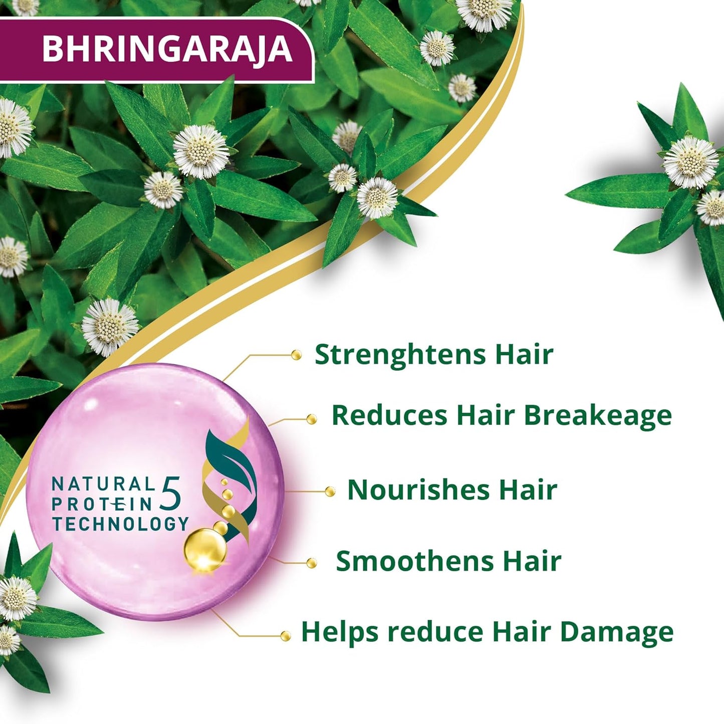 Himalaya Anti-Hair Fall Bhringaraja Shampoo, Reduces Hair Fall, Makes Hair Healthy, With Bhringaraja & Palasha,for men and women, 650ml