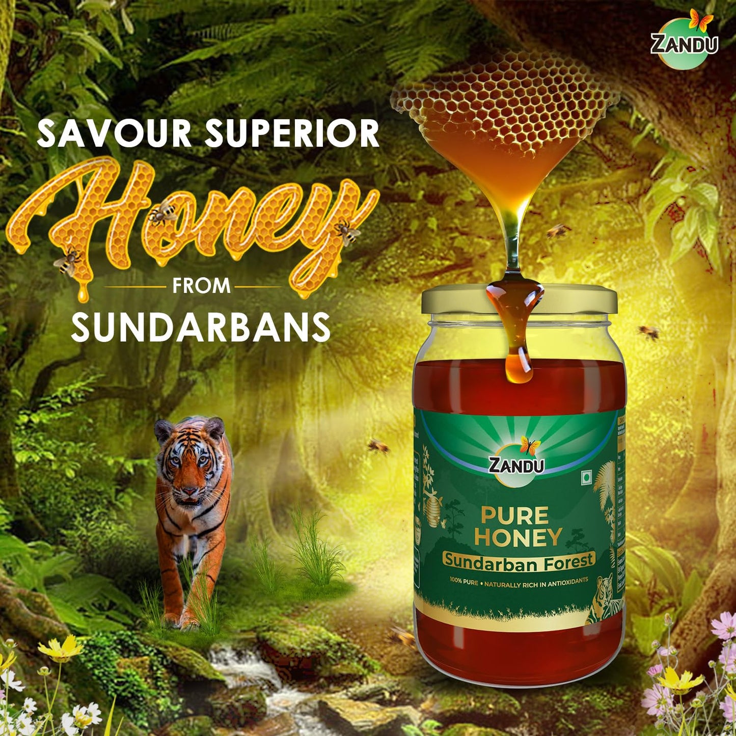 Zandu Sundarban Forest Honey I 100% Pure I Signature Taste & Fragrence Sourced From Dense Mangrove Forest I Rich in Pollent Count I Naturally Rich in Antioxidants, Glass Jar, 500g