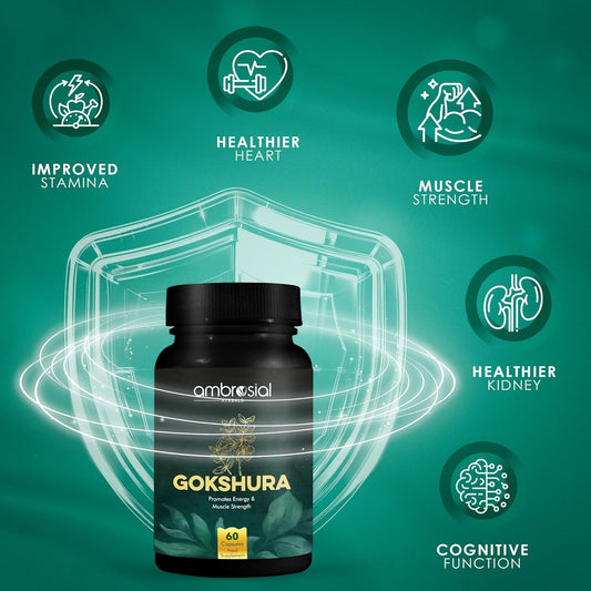Ambrosial Gokshura Tablets | Tribulus Terrestris High Strength Gokshura 500 mg EACH Capsule | Supports Immunity & Healthy Urinary Tract (Pack of 1-60 Capsules)