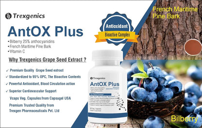 TrexgenicsÂ® ANTOX PLUS Bilberry 25% 200 mg, Pine bark 90% 200 mg & Vitamin C Advanced Antioxidant complex, Heart, Eyes, Skin, Immunity, Metabolism (60 Vcaps) (1)