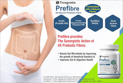 Trexgenics PREFIBRE 4X Natural PREBIOTIC FIBRES -Digestive & Gut Health Support, Frutafit HD Inulin, Fossence Fructooligosaccharides, Sunfiber PHGG & Gum Acacia Fibre, VEGETARIAN(330 gram) (Pack of 1)
