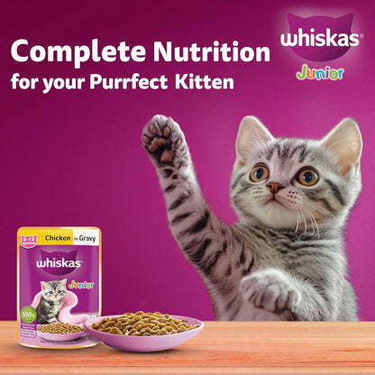 Whiskas Junior Kitten (2-12 Months) Wet Cat Food, Chicken in Gravy, 80 g (Pack of 14), Hydrating Food Made With Real Chicken, 100% Complete & Balanced Nutrition for Kittens