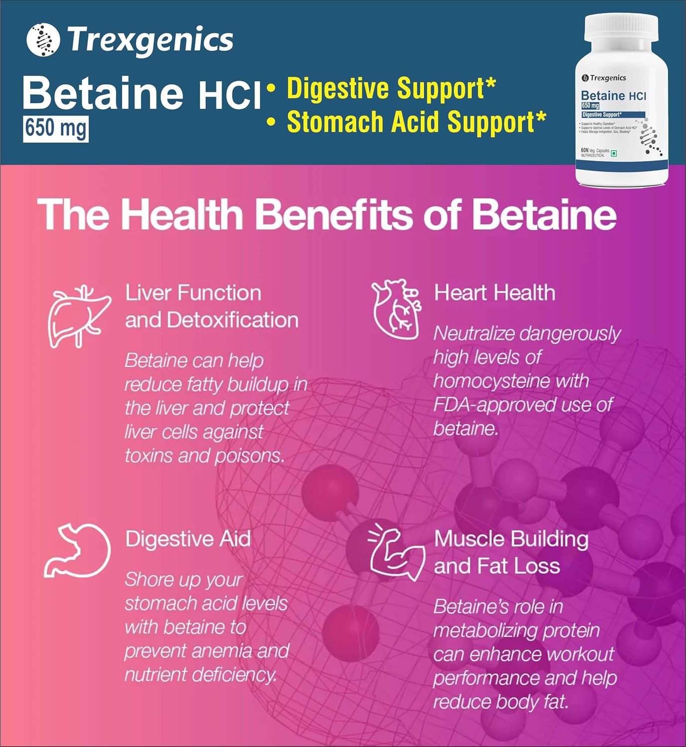 Trexgenics Betaine HCL 650 mg Stomach Acid Balance & Digestive Health Support (60 Veg. Capsules) (Pack of 1)