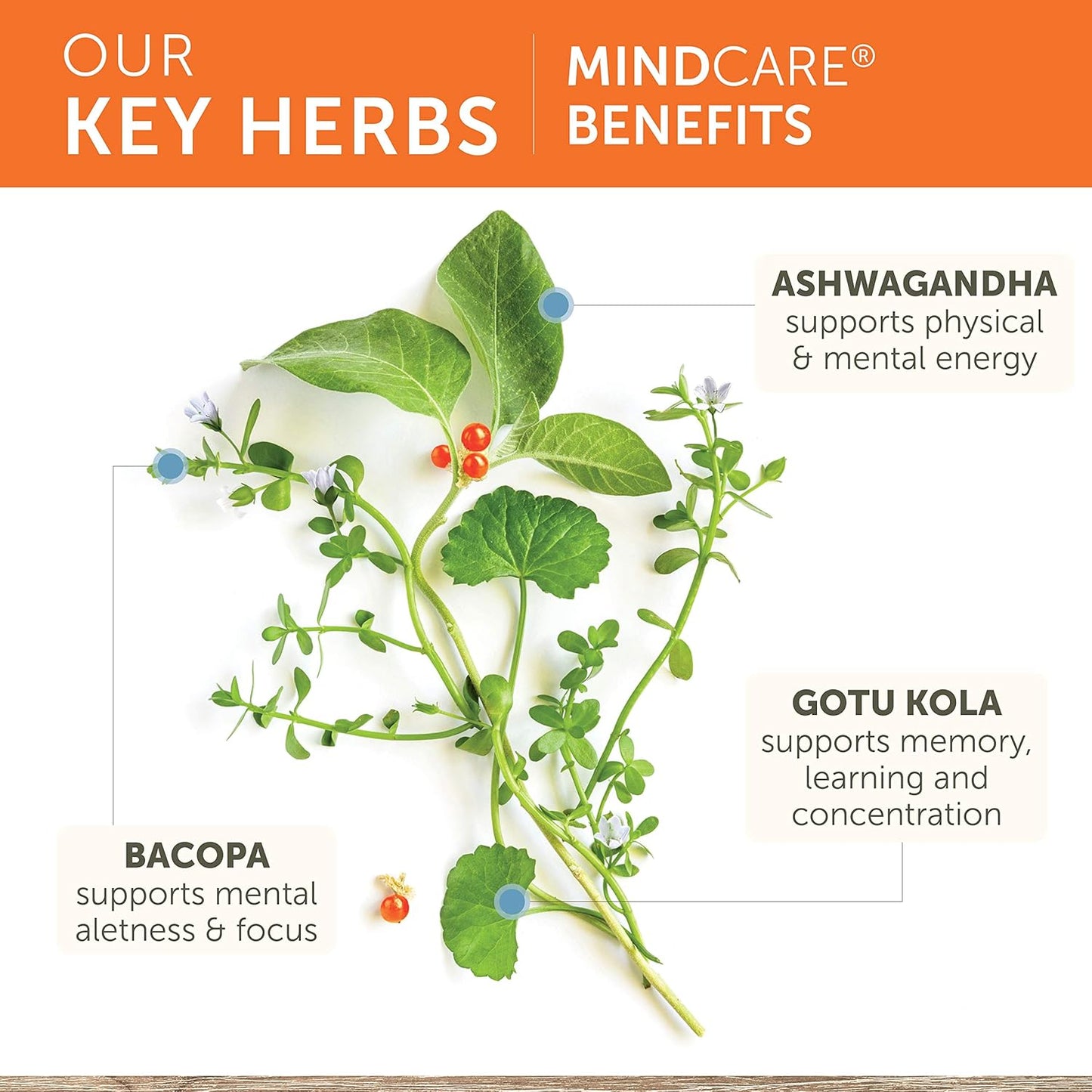 Himalaya MindCare - Nootropic Herbal Brain Supplements for Memory and Focus Support - Vegan, Non-GMO, Gluten Free, 1170 mg, 60 Capsules