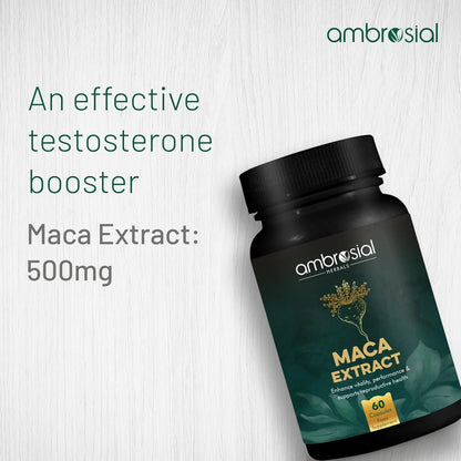 Ambrosial Maca Root Capsules for Men & Women | High Strength 500 mg Maca Root Powder EACH Capsule | Supports Building Stamina & Energy (Pack of 1-60 Capsules)