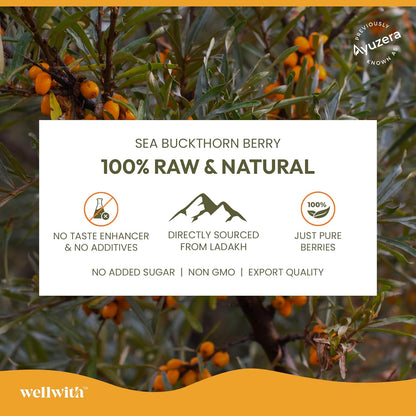 Wellwith by Ayuzera Himalayan Sea Buckthorn Pulp 300ml | Cold Pressed Seabuckthorn Juice | Rich in Vitamin C, Omega 3 6 7 9 & Antioxidants | Supports Immunity, Skin & Gut Health