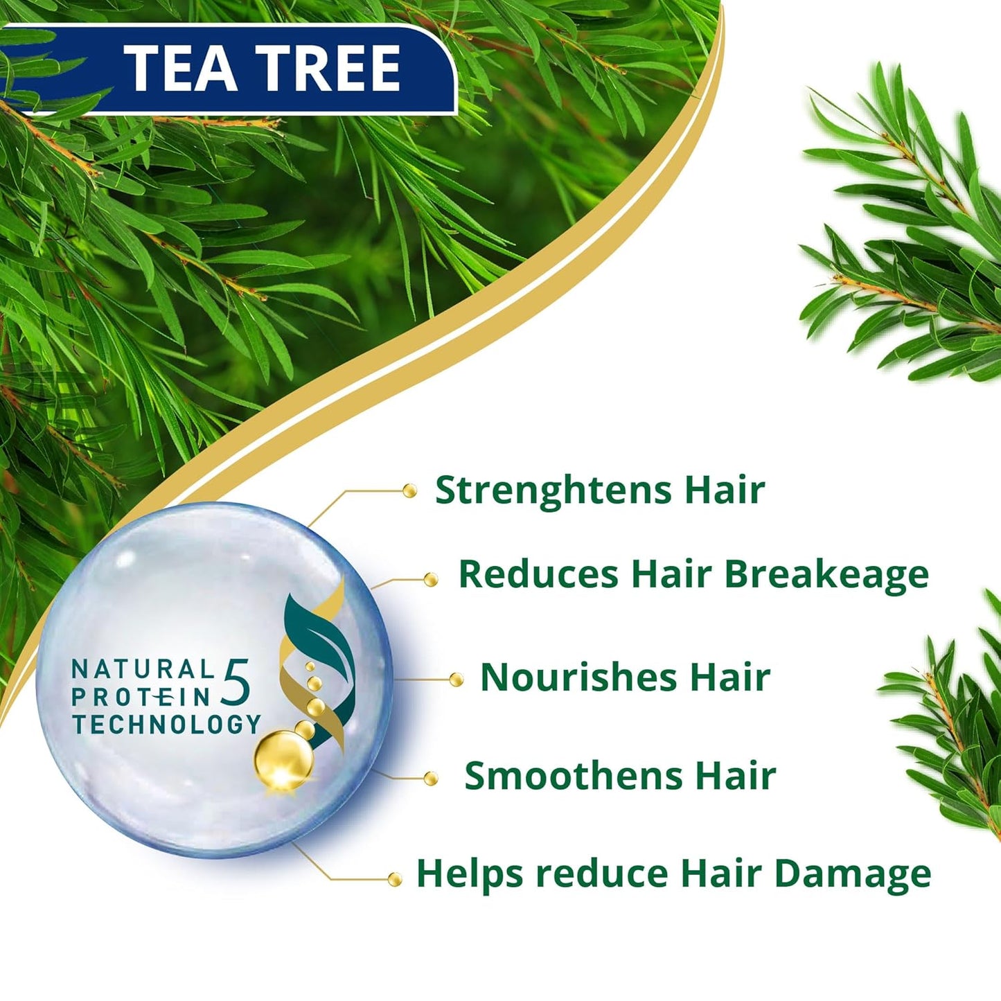Himalaya Anti-Dandruff Tea Tree Shampoo, Removes up to 100% Dandruff, Soothes Scalp & Nourishes Hair, with Tea Tree oil and Aloe Vera, for men and women, 180ml