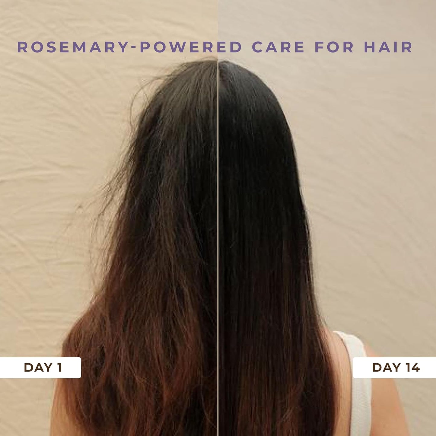Naturali Anti Hairfall Shampoo | 3x Hair fall Control | With Rosemary, Biotin and Ginseng | No Sulfate No Paraben | Rosemary Shampoo for Hair Growth | 200 ml
