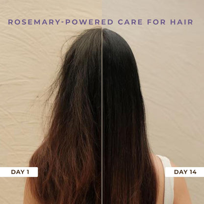 Naturali Anti Hairfall Shampoo | 3x Hair fall Control | With Rosemary, Biotin and Ginseng | No Sulfate No Paraben | Rosemary Shampoo for Hair Growth | 200 ml