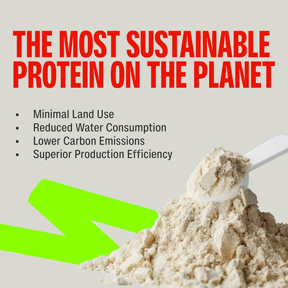 Superyou Pro Fermented Yeast Protein Isolate 1kg | 26g Protein| Unflavoured | Higher Absorption than Plant Protein | Superior Muscle Recovery | Gut Friendly | Vegan Protein | PDCAAS of 1