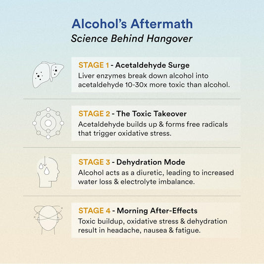 Wellbeing Nutrition Hangover Relief | One Pre-drinking Capsule (Protect) with Milk thistle, Chicory Extract, B-Vitamins & One Next Morning Hydration Drink (Restore) with Electrolytes from coconut water & Himalayan Pink Salt, Vitamin C, Magnesium (3)