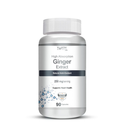 Vokin Biotech Ginger Extract 5% Gingerols Natural Digestion Supplement - Improve Gastrointestinal Health 90 Veg Capsules Pack of 1