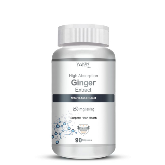 Vokin Biotech Ginger Extract 5% Gingerols Natural Digestion Supplement - Improve Gastrointestinal Health 90 Veg Capsules Pack of 1