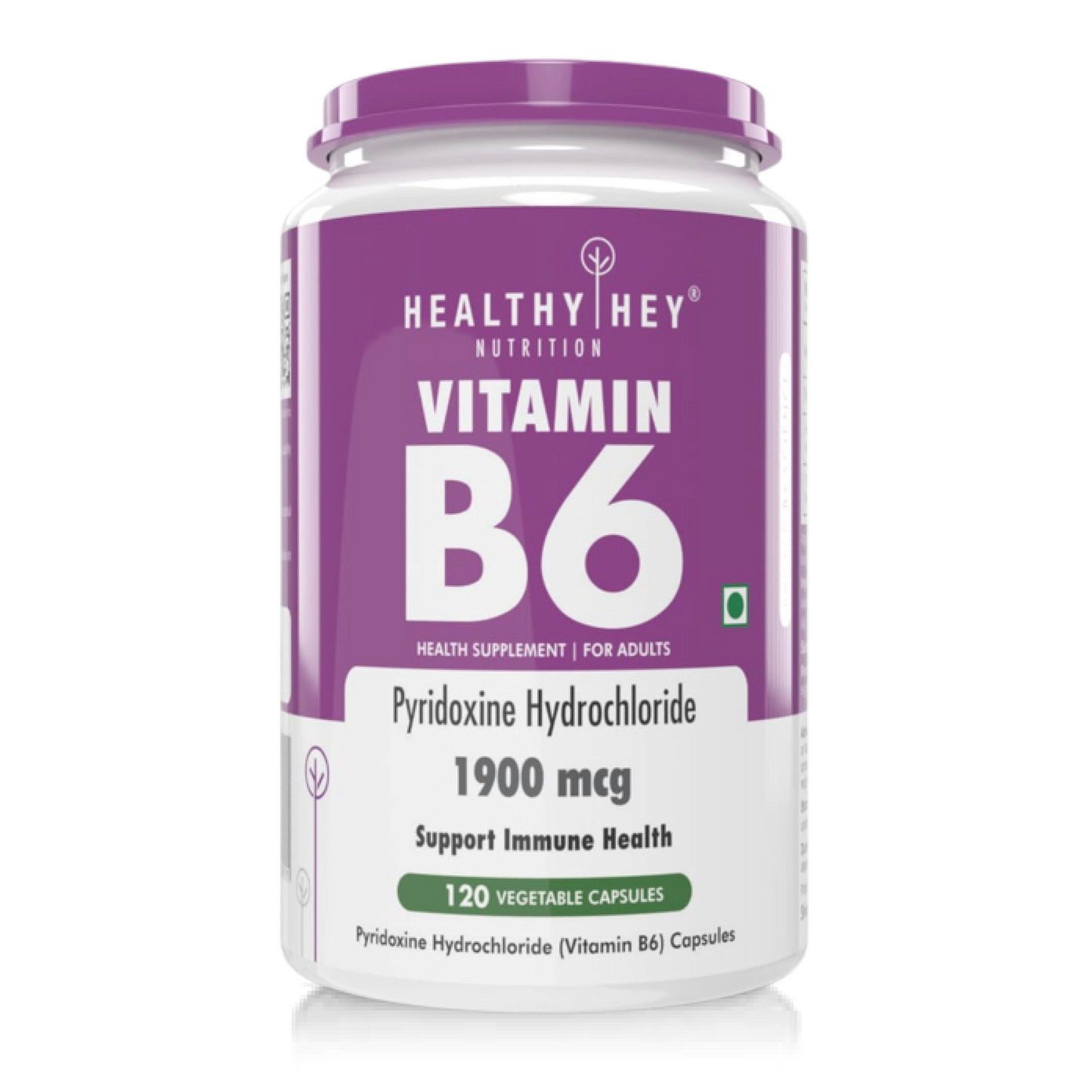 HealthyHey Nutrition Vitamin B6 Pyridoxine -120 Veg. Capsules